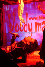 Bloody Portrait Night I — 100